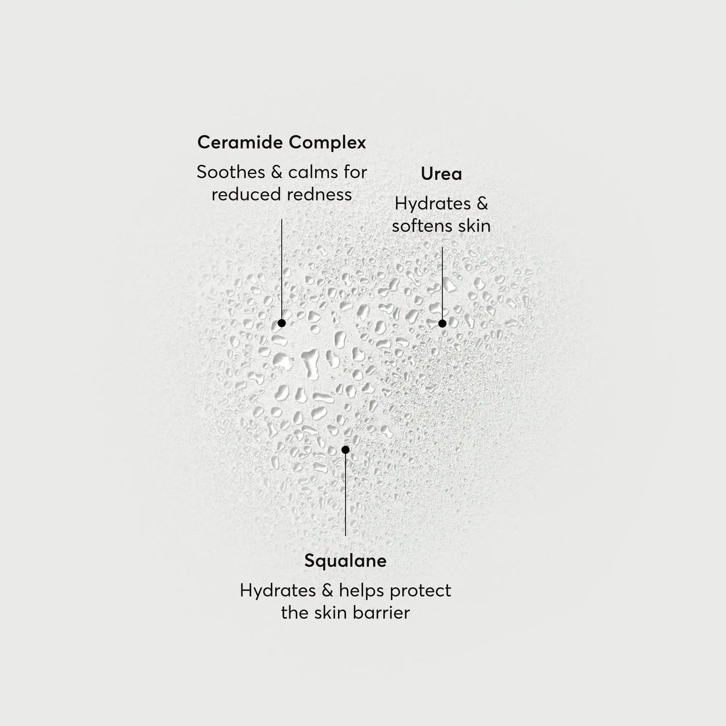 barrier-bounce-bi-phase-mist-q2 NATR-10167-Alt-Images-Barrier-Bounce-Bi-Phase-Toner-Mist_01.webp