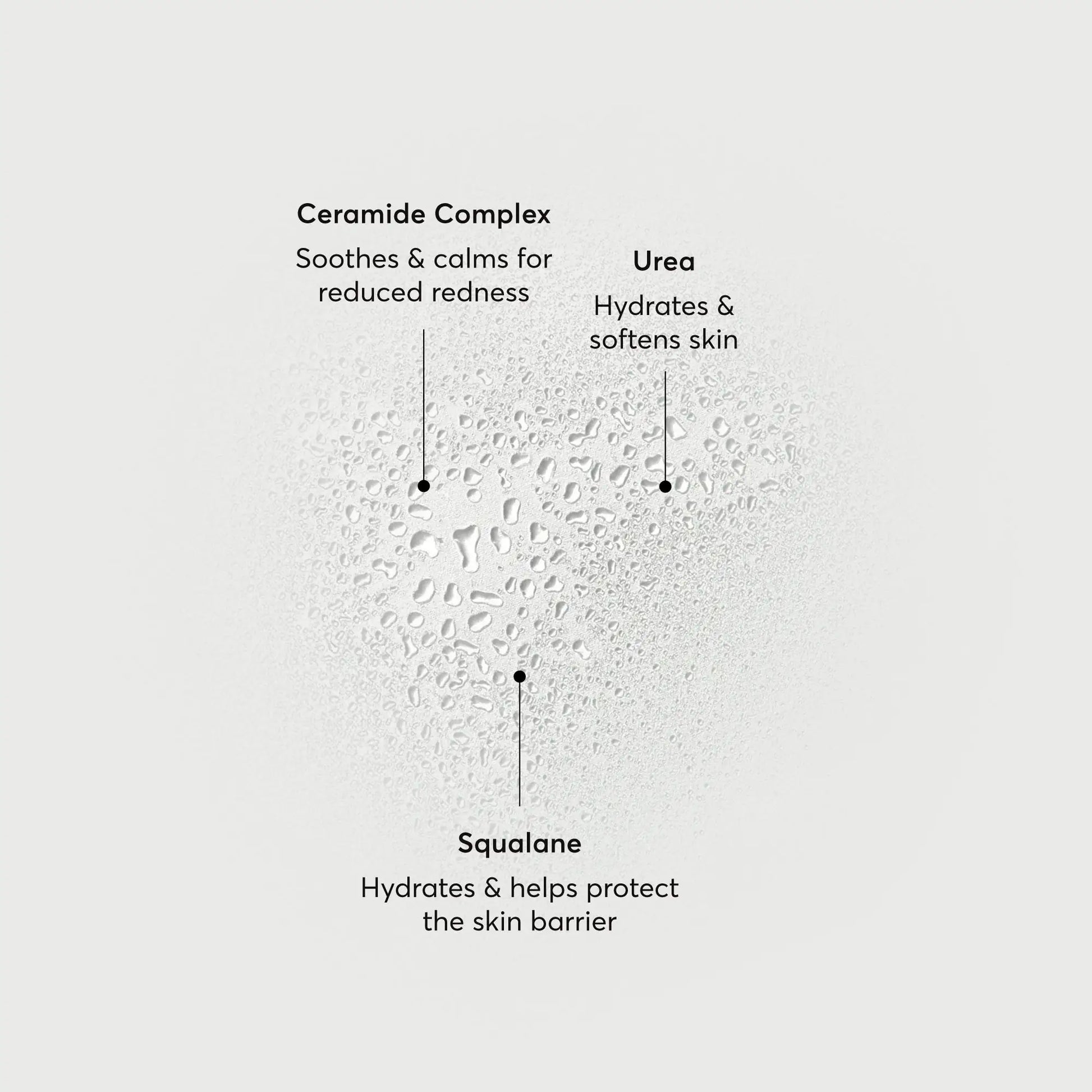 barrier-bounce-bi-phase-mist-q2 NATR-10167-Alt-Images-Barrier-Bounce-Bi-Phase-Toner-Mist_01.webp